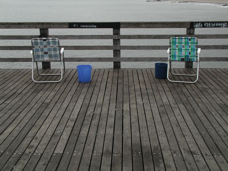 p8295501.jpg